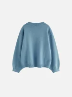 Aelfric Eden Cute Penguin Cropped Sweater
