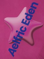Aelfric Eden 3D Star Print Eden Star Hoodie Purple